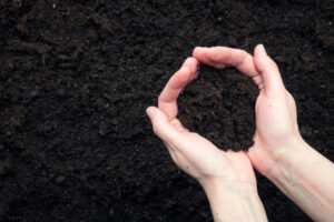 SOIL FOR KERB SETS
