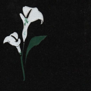 LILY FLOWER