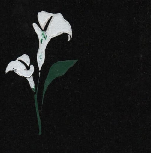 LILY FLOWER