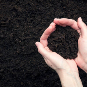 SOIL FOR KERB SETS