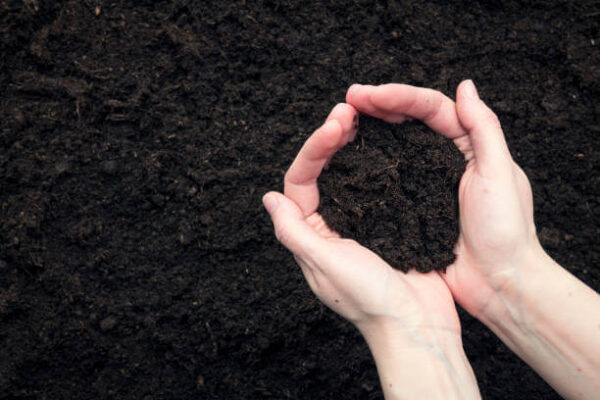 SOIL FOR KERB SETS
