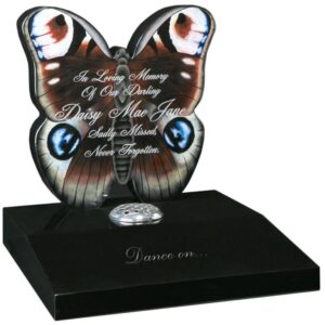 THE BUTTERFLY